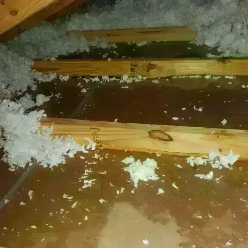 Attic Water Damage in Freeport, PA